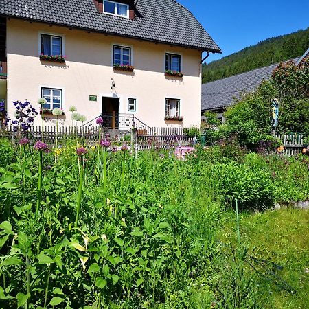 Abenteuerhof Apartman Weißenbach Kültér fotó