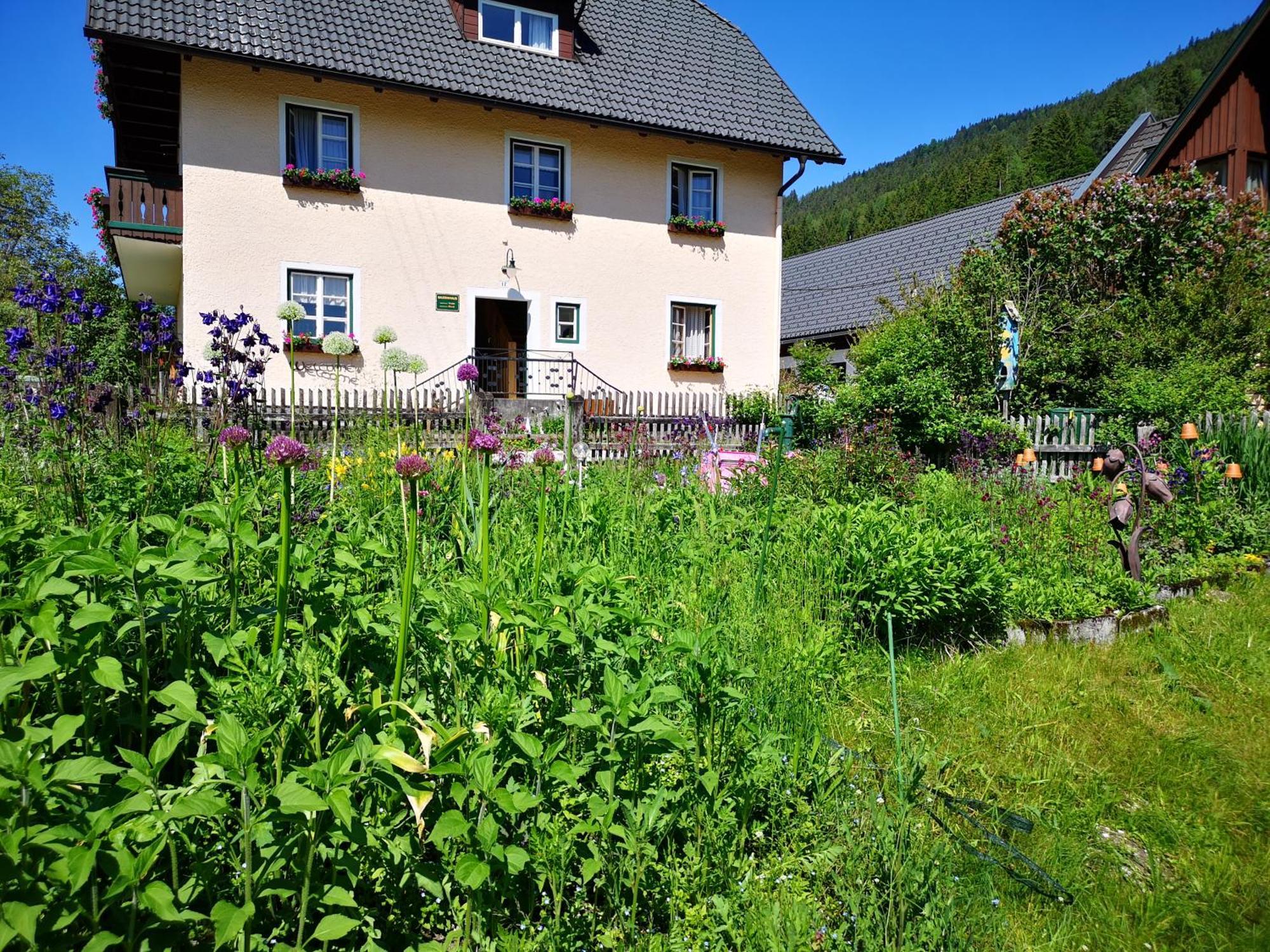 Abenteuerhof Apartman Weißenbach Kültér fotó